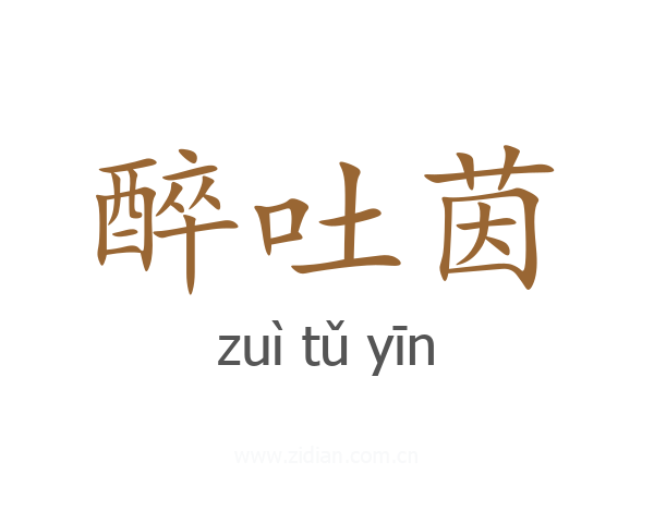 醉吐茵