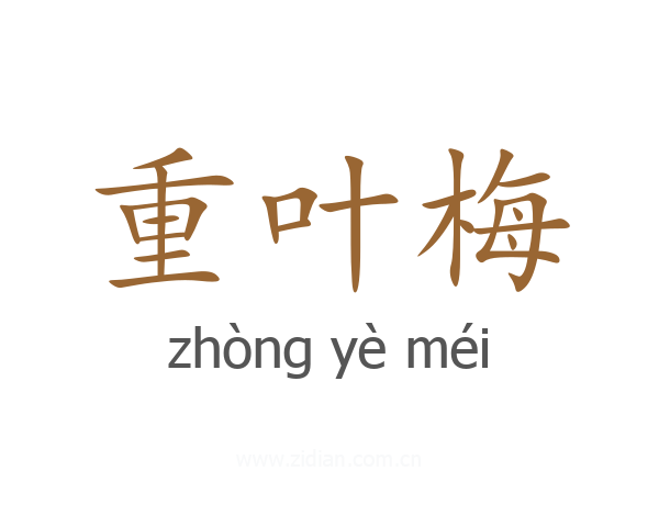 重叶梅