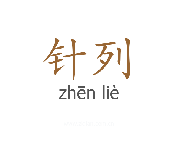 针列