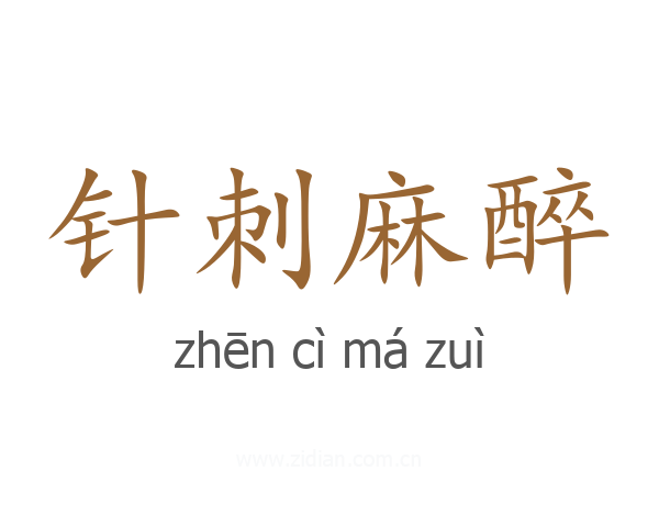 针刺麻醉