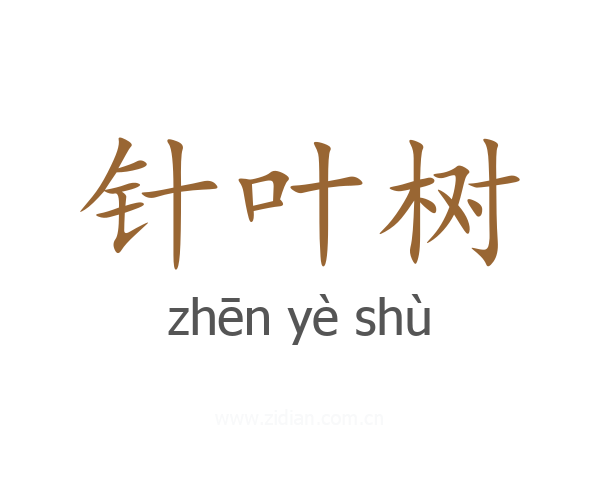 针叶树