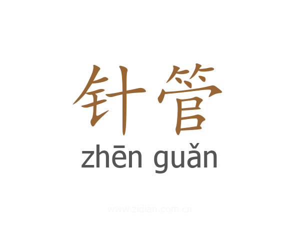 针管