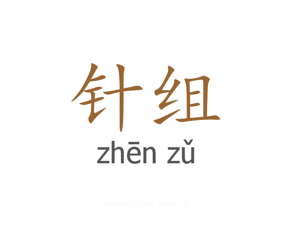 针组