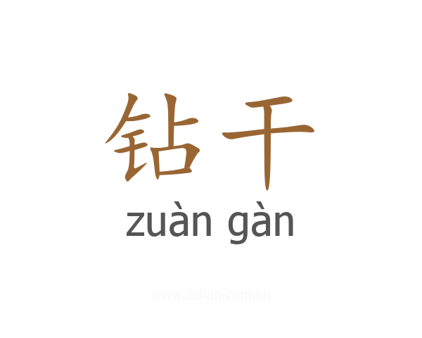 钻干