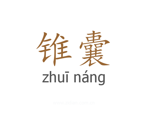 锥囊