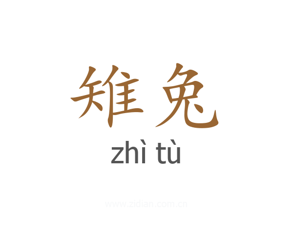 雉兔