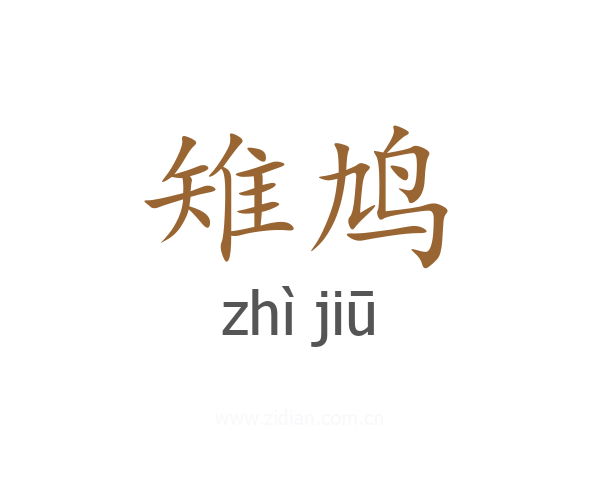雉鸠