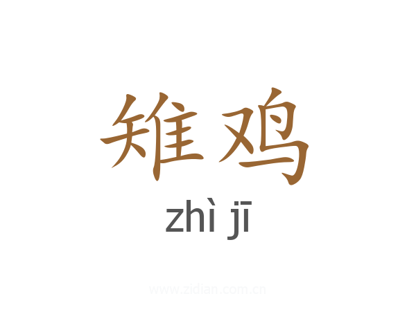 雉鸡