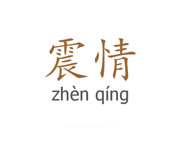 震情