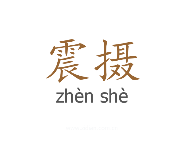 震摄