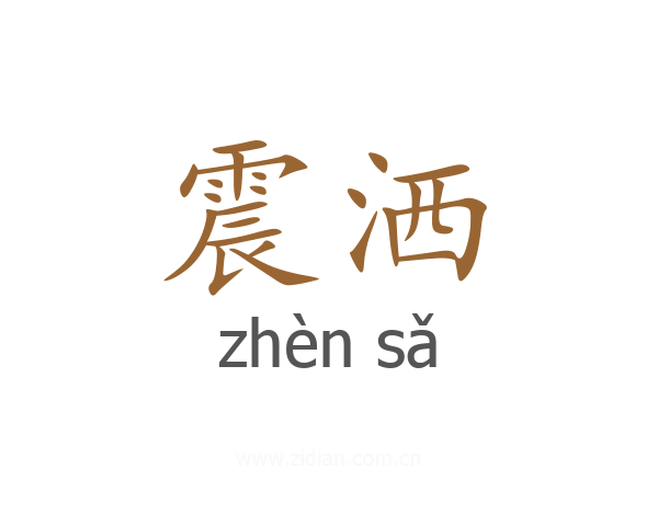 震洒