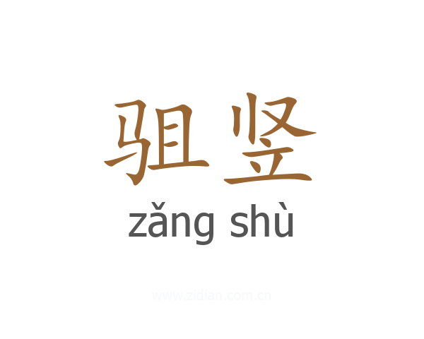驵竖