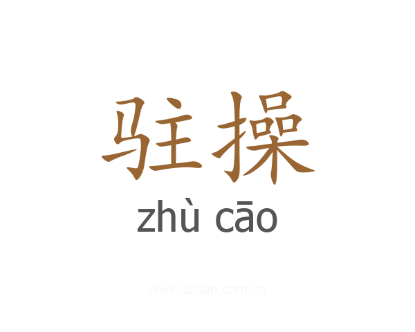 驻操