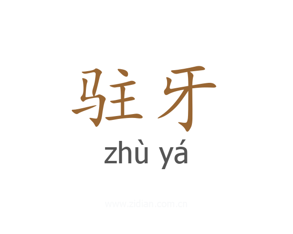 驻牙