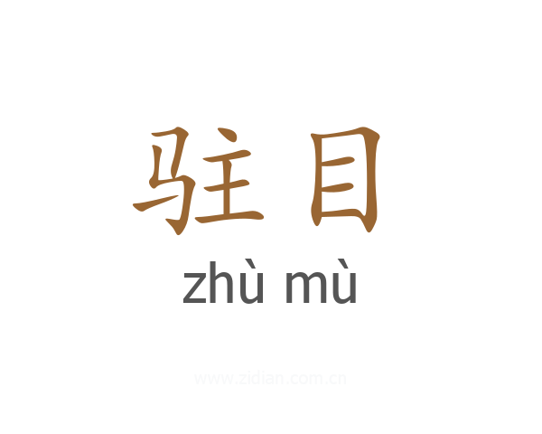 驻目