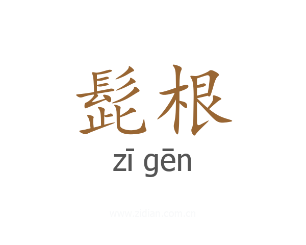 髭根