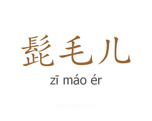 髭毛儿