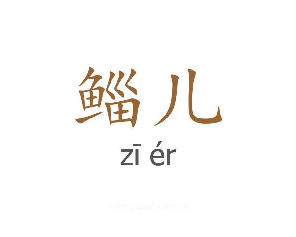 鲻儿