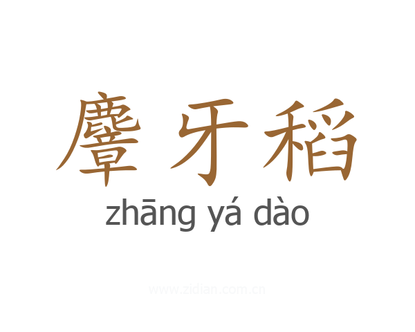 麞牙稻