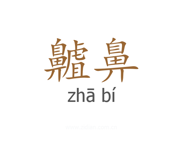 齇鼻