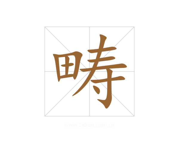 畴