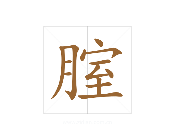 腟