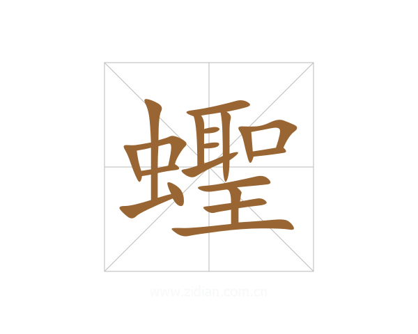 蟶