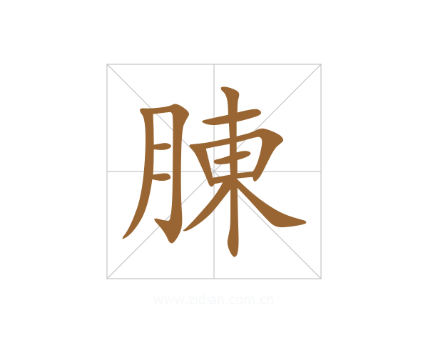 腖