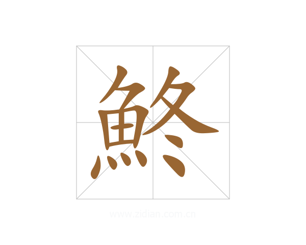 鮗