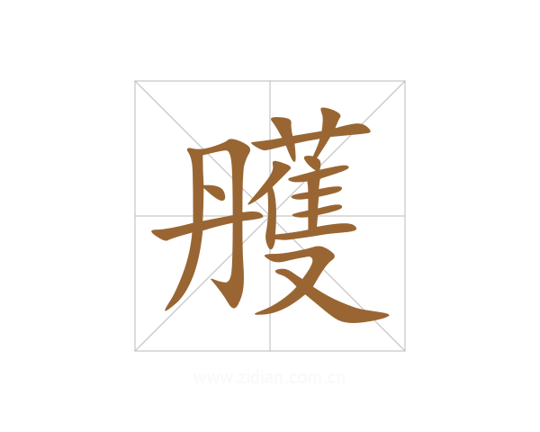雘