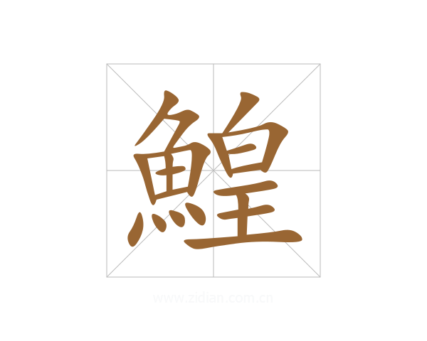 鰉
