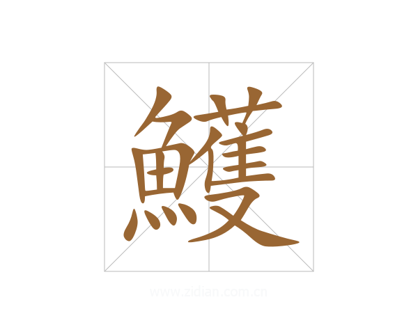 鱯