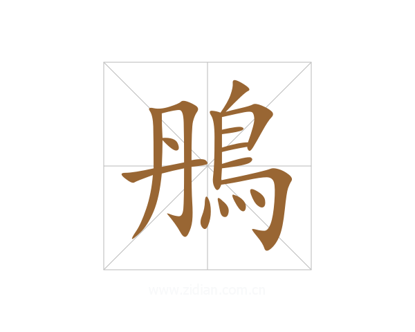 鴅