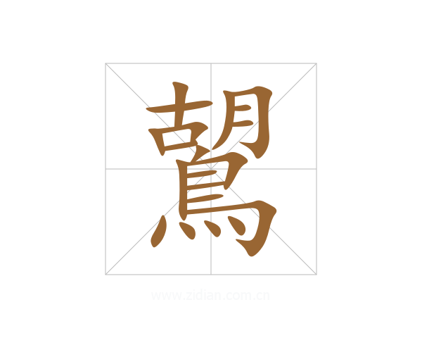 鶦