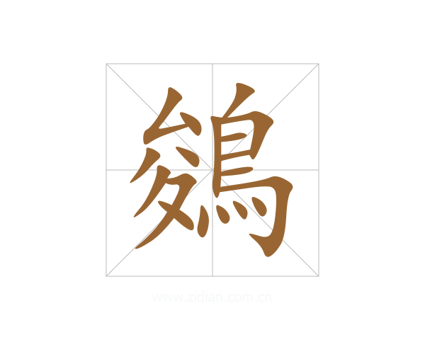 鵕