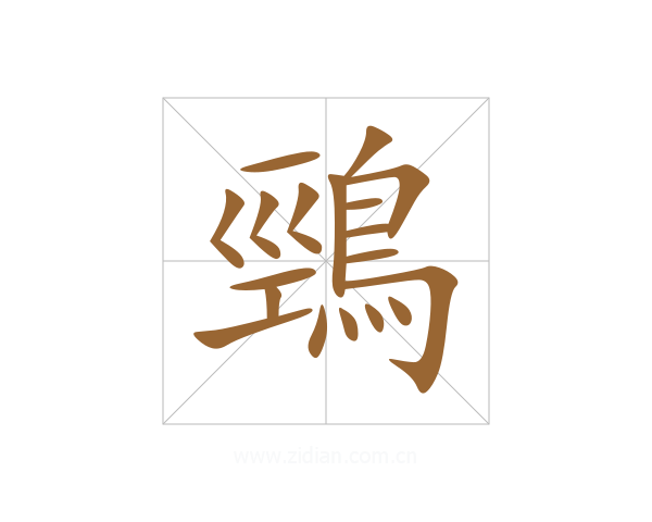鵛
