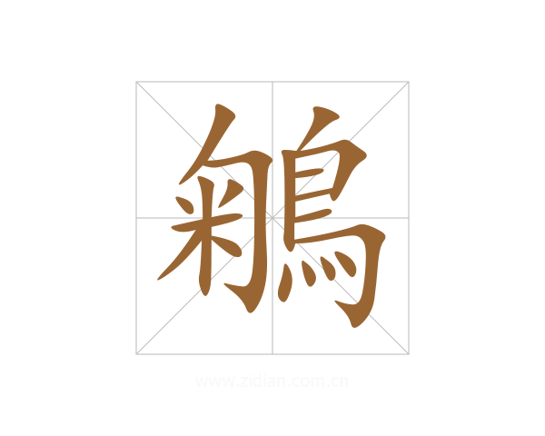 鵴