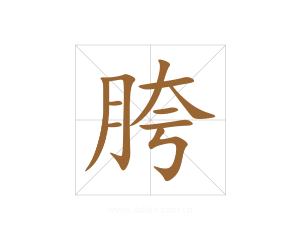 胯