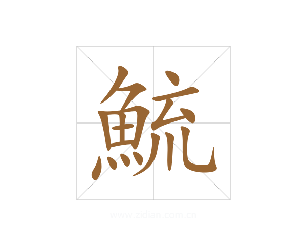 鯍