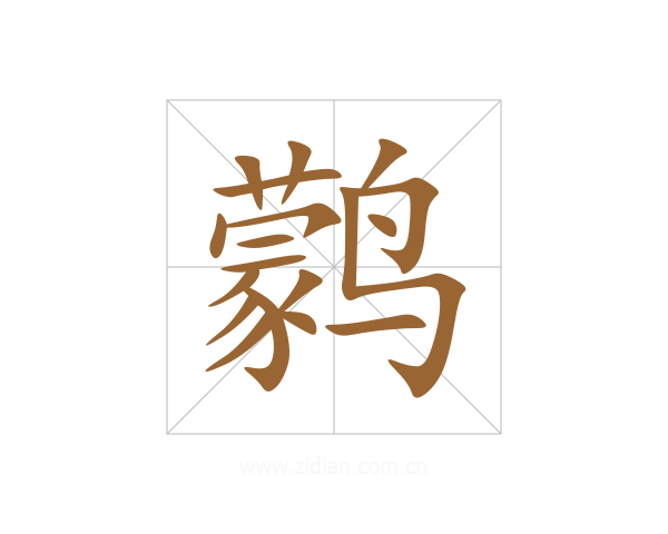 鹲