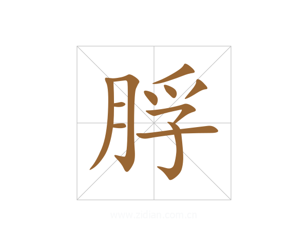 脬