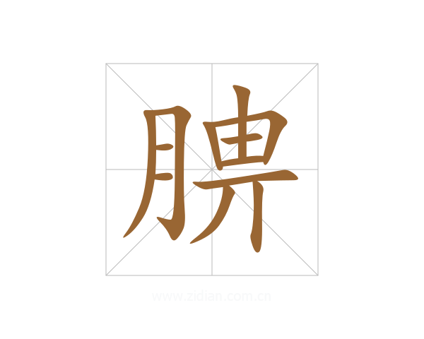 腗