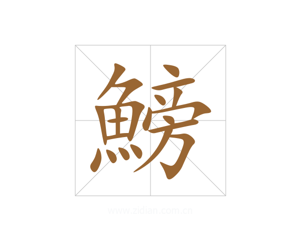 鰟