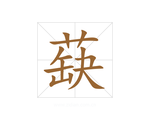 蒛