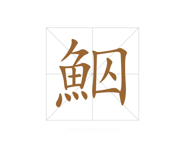 鮂