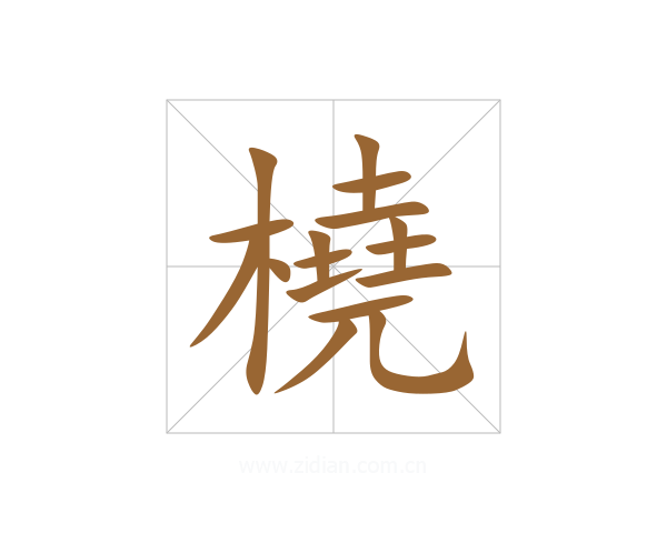 橈