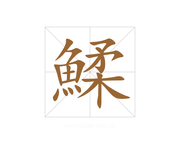 鰇