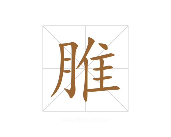 脽