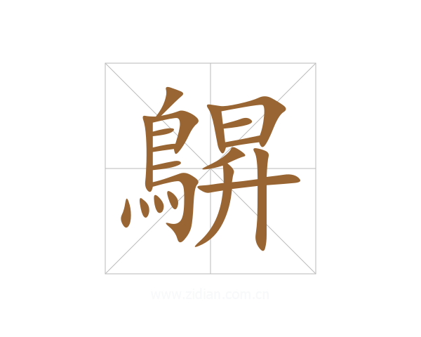 鵿