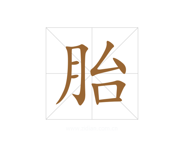 胎